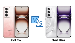 So sánh Oppo Reno12 5G Xách Tay và Chính Hãng: Nên mua phiên bản nào?