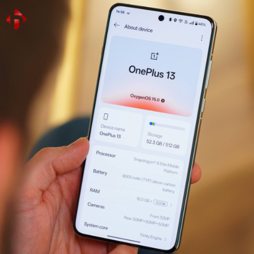 one plus 13
